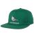 Anti-Hero. Lil Pigeon. Snapback. Green.