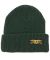 Anti-Hero. Stock Eagle Beanie. Green.