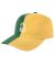 Spitfire. Lil Bighead Strapback. Dark Green / Yellow.