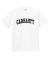 Carhartt WIP. University T-Shirt. White/Black.